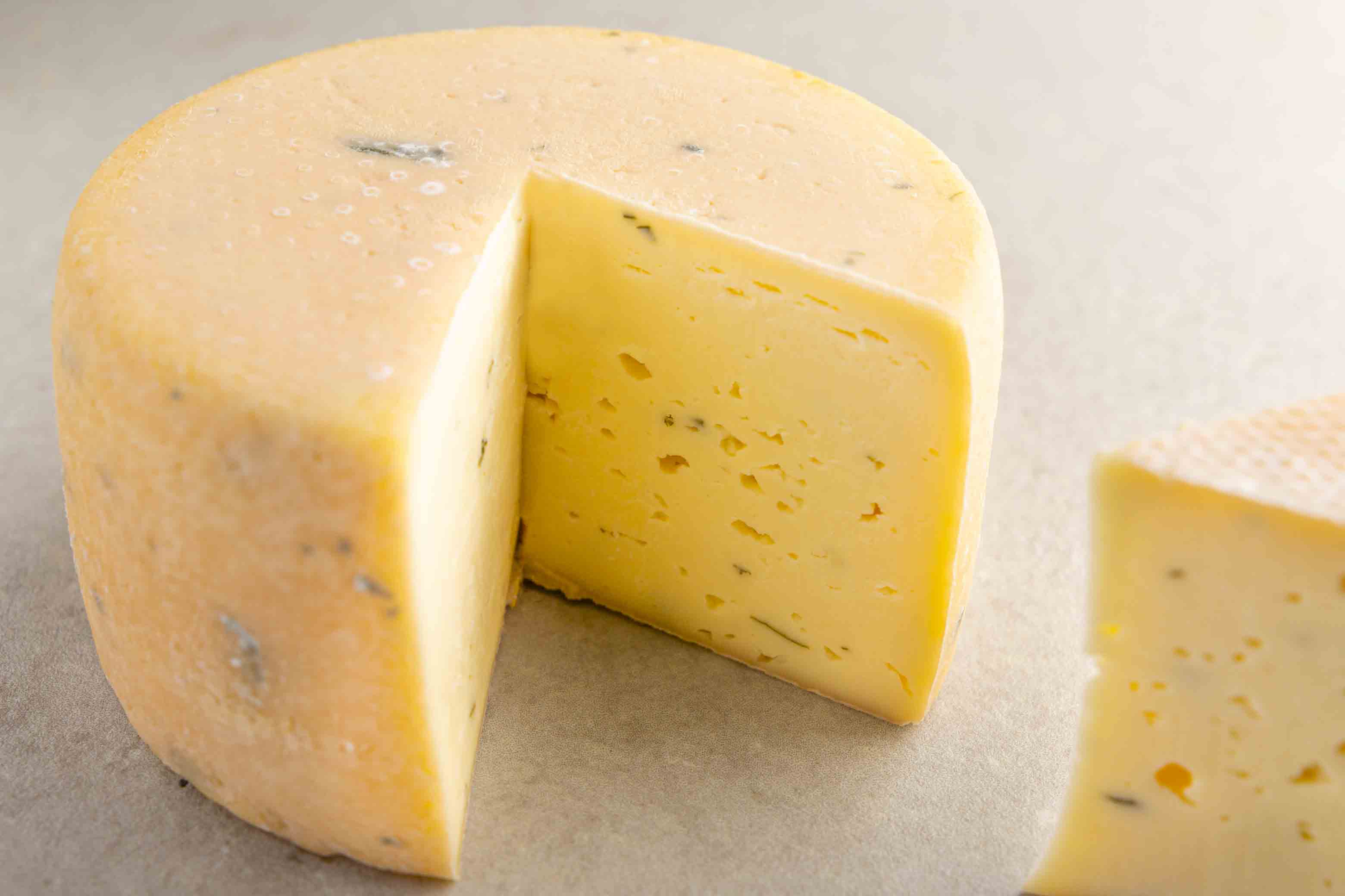 Wildkräuterkäse 3