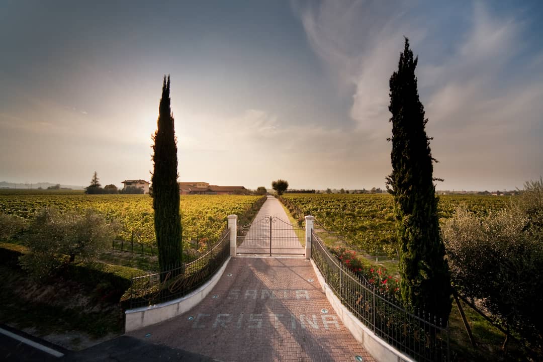 Amarone della Valpolicella Classico 2020 3