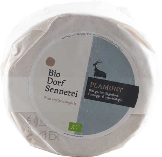 Ziegenschnittkäse Heumilch "Plamunt" 1
