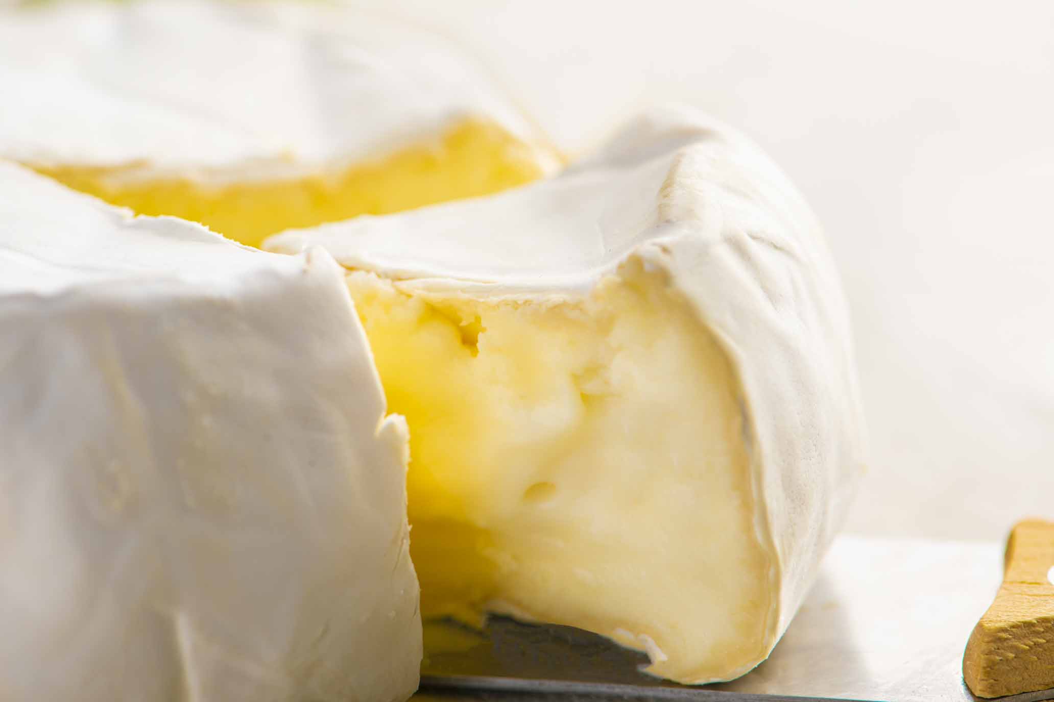 Ziegenweichkäse "Caschlin" Bio 3