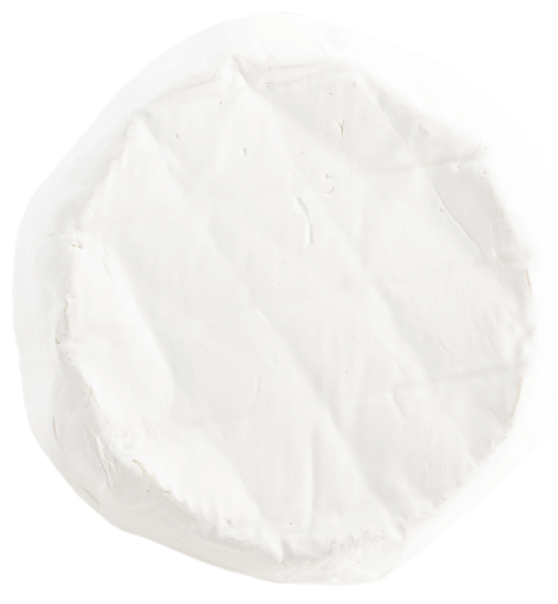 Ziegenweichkäse "Caschlin" Bio 4