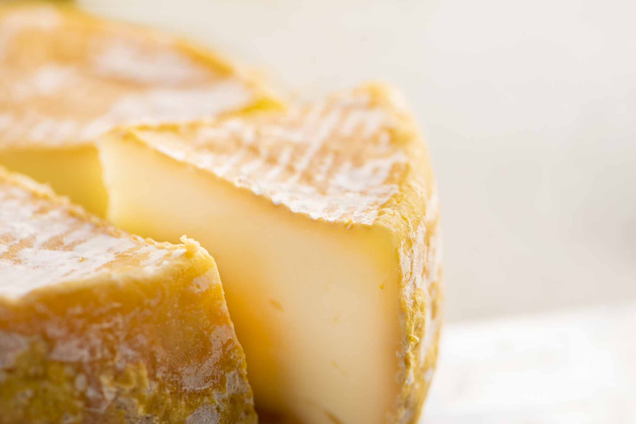 Ziegenweichkäse "Dulbant" Bio 3