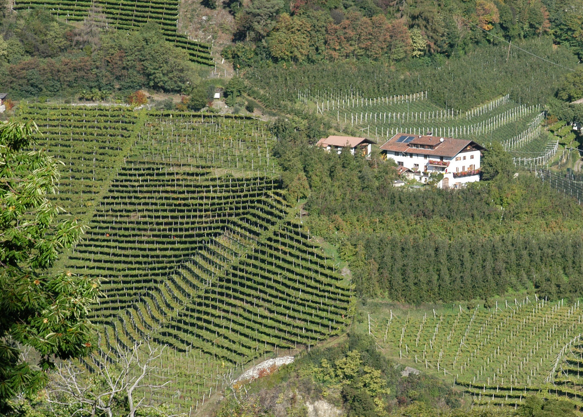 ZOLLWEGHOF 5