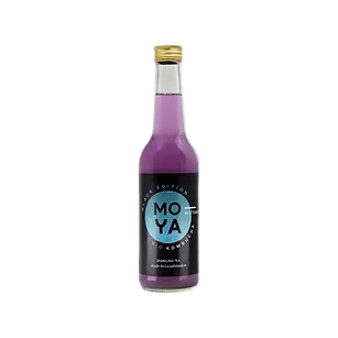 Kombucha Aronia bio