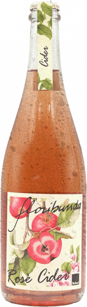 Apfelcider Rose "Floribunda" Bio