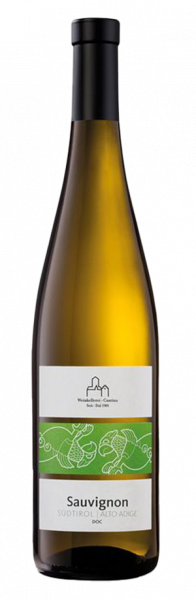 Sauvignon 2023