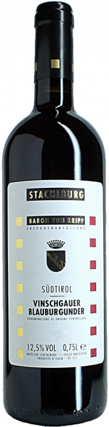 Blauburgunder Bio 2019