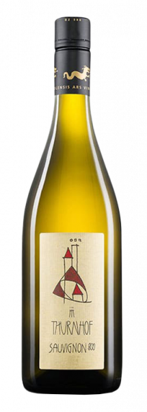 Sauvignon "800" 2023