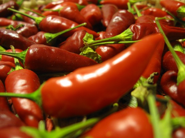 PEPERONCINO