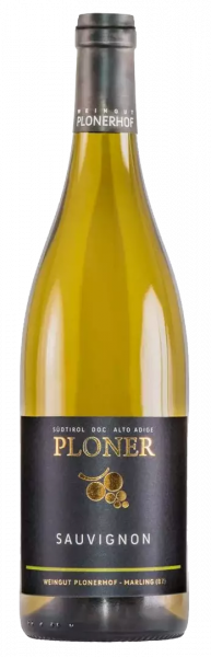 Sauvignon 2023