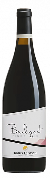 Blauburgunder Bachgart 2021