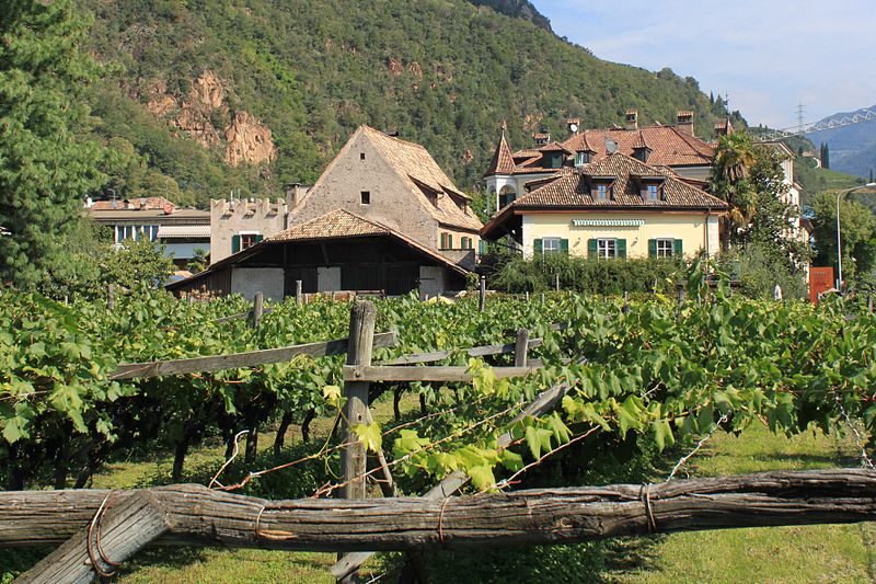 Weingut Schmid Oberrautner