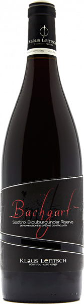 Blauburgunder DOC Riserva Hemberg 2017