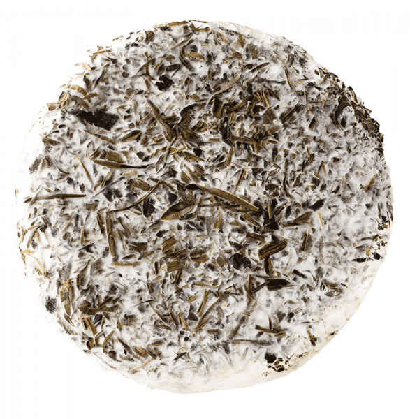 Grillkäse Kräuter