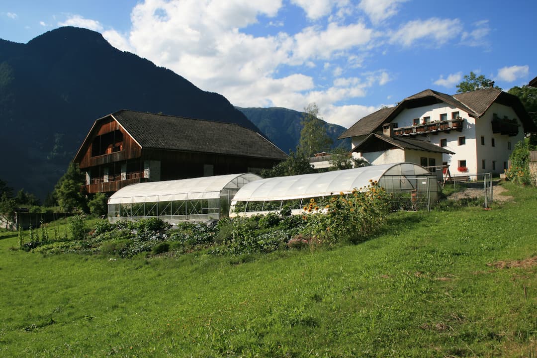 Felderhof 