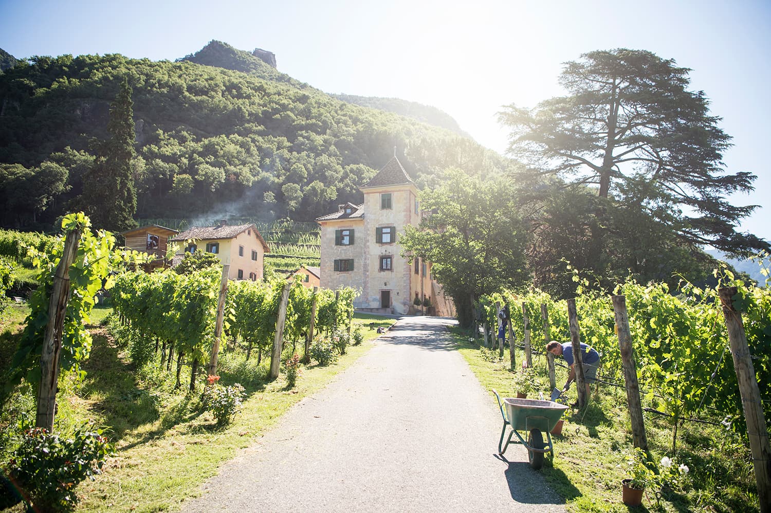 Weingut Kornell