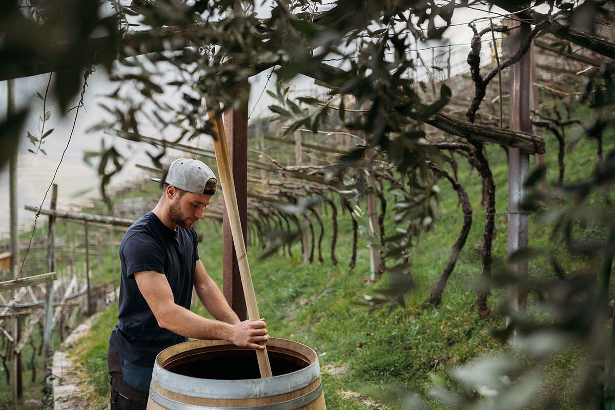 Weingut Fliederhof