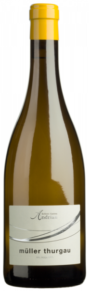 Müller Thurgau 2022