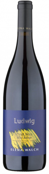 Blauburgunder "Ludwig" 2020
