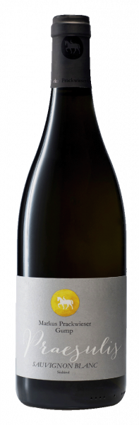 Sauvignon "Praesulis" 2023