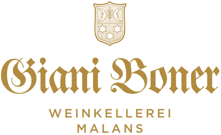 Giani Boner