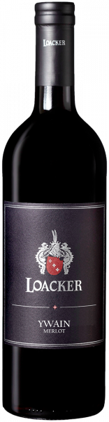 Merlot "Ywain" Bio 2022