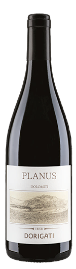 Cuvée rot "Planus" 2019