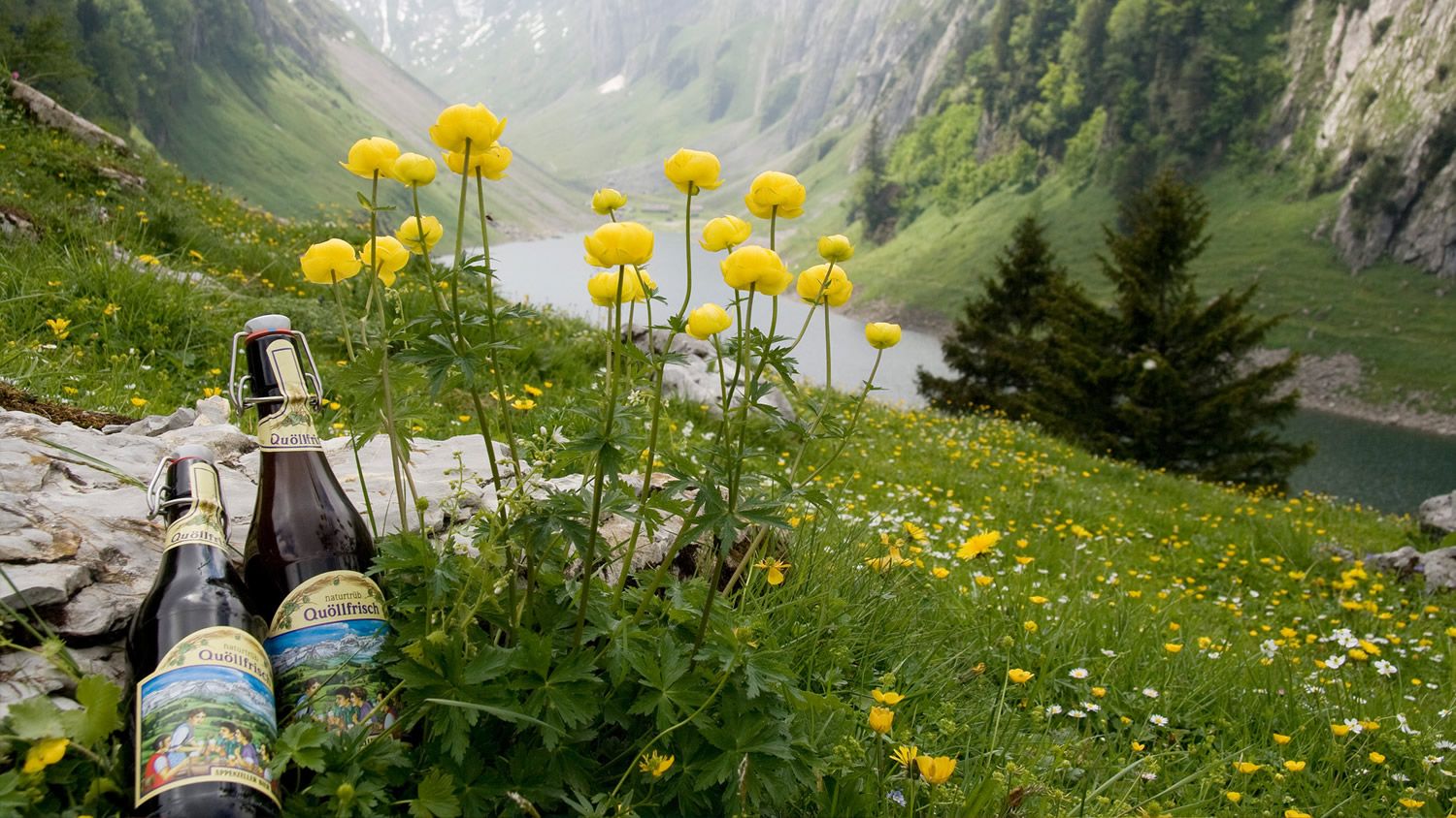 Appenzeller Bier