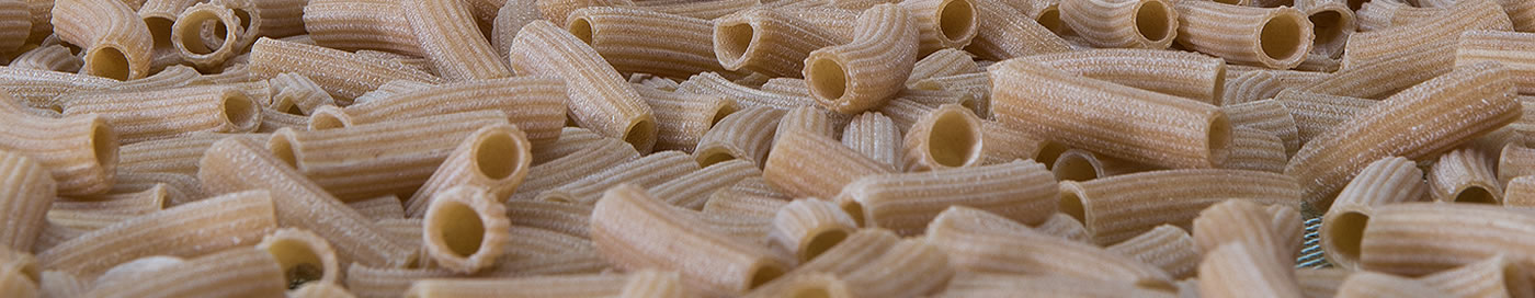 Pastalpina