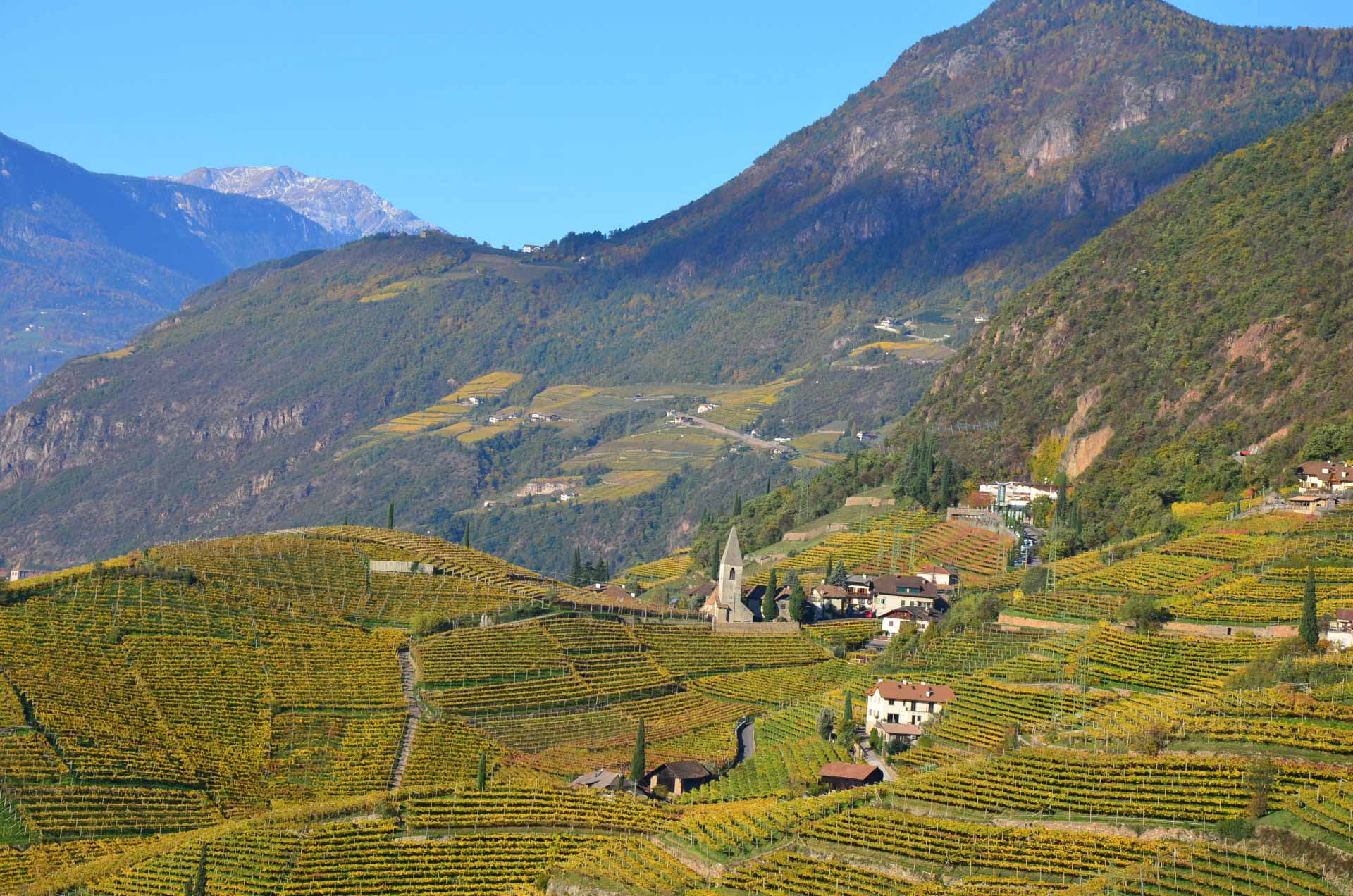 Weingut Plonerhof
