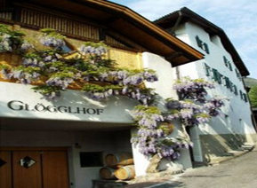 Weingut Glögglhof