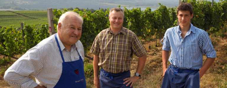 Weingut Niklaserhof