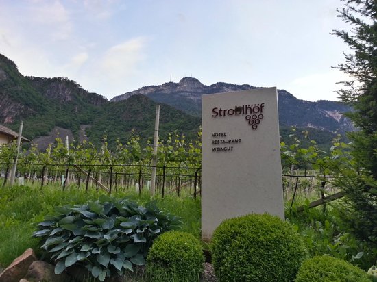 Weingut Stroblhof
